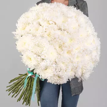 51 Белая Хризантема Бигуди