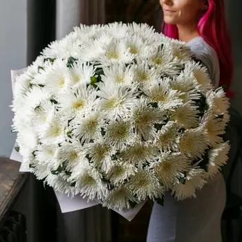 51 Белая Игольчатая Хризантема