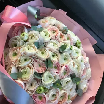 51 Бело-Розовый Ранункулюс