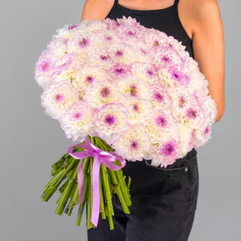 51 Бело-Фиолетовый Георгин