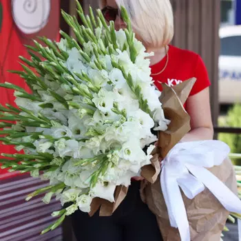 51 Белый Гладиолус