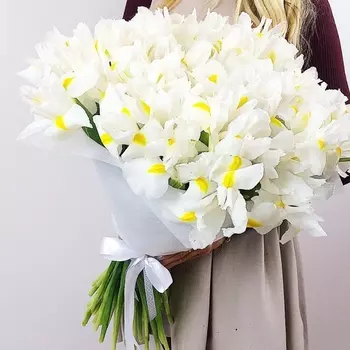 51 Белый Ирис