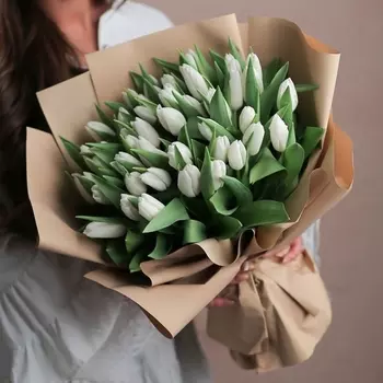 51 Белый Тюльпан в пленке