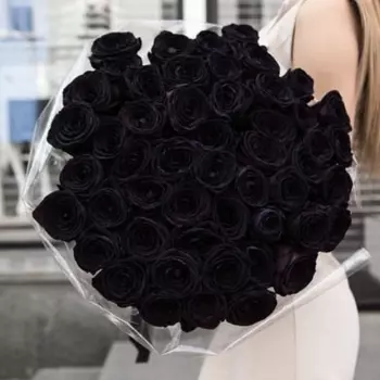 51 Черная Роза (70 см.)