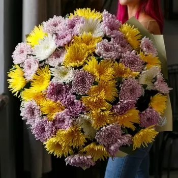 51 Цветная Игольчатая Хризантема