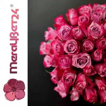 51 Фиолетовая Роза (50 см.)