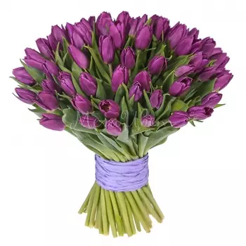 51 Фиолетовый Тюльпан
