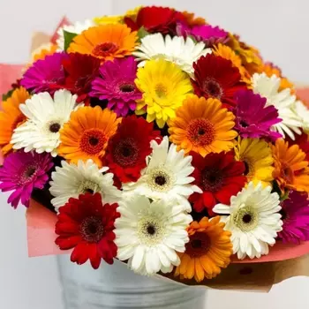 51 Гермини Микс в упаковке