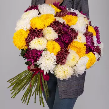 51 Хризантема Бигуди Микс