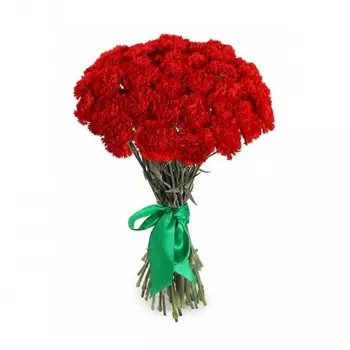 51 Красная Гвоздика