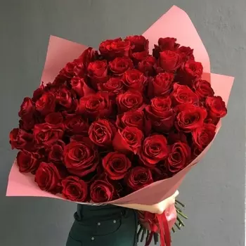 51 Красная Роза (60 см.) в упаковке