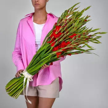 51 Красный Гладиолус