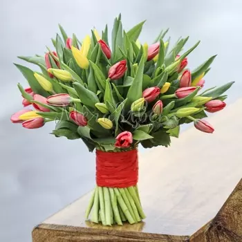 51 Красный и Желтый Тюльпан