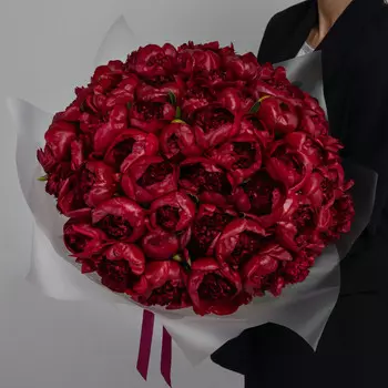 51 Красный Пион в упаковке