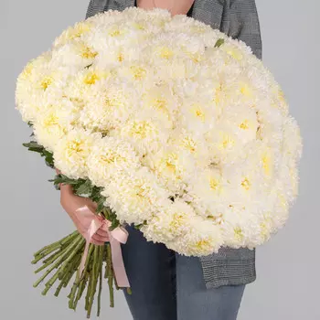 51 Кремовая Хризантема Бигуди