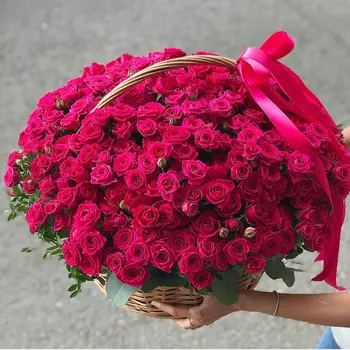 51 Кустовая Малиновая Роза (40 см.) в корзине