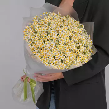 51 Кустовая Ромашка в упаковке