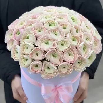 51 Нежно-Розовый Ранункулюс в шляпной коробке