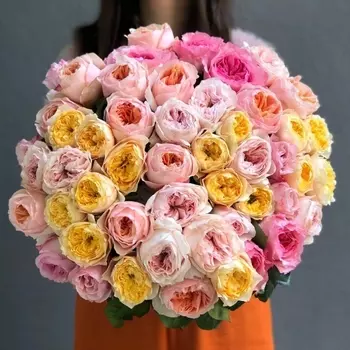 51 Пионовидная Роза Микс (50 см.)