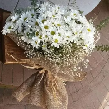 51 Крупная Ромашка с гипсофилой