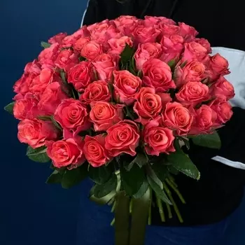 51 Роза Коралловая (30-40 см.)