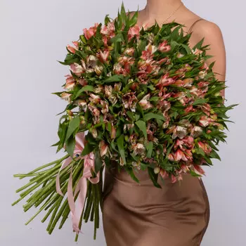 51 Розовая Альстромерия