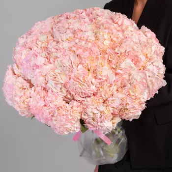 51 Розовая Гортензия