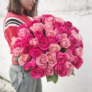 51 Розовая и Малиновая Розы (60 см.)