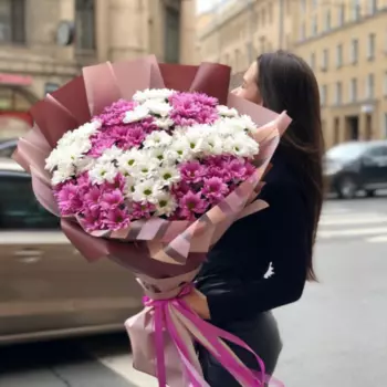 51 Розово-Белая Хризантема