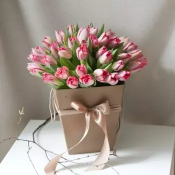 51 Розовый Махровый Тюльпан в коробке