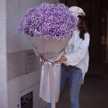 51 Сиреневая Гипсофила