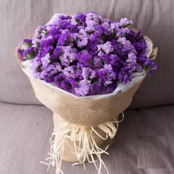 51 Сиренево-Фиолетовая Статица