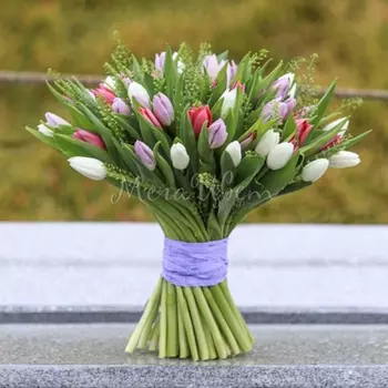 51 Тюльпан Микс под ленту