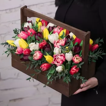 51 Тюльпан Микс в ящике