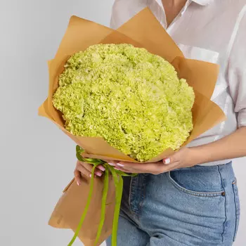 51 Зеленая Гвоздика