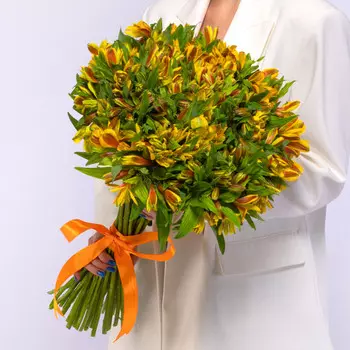 51 Желтая Альстромерия