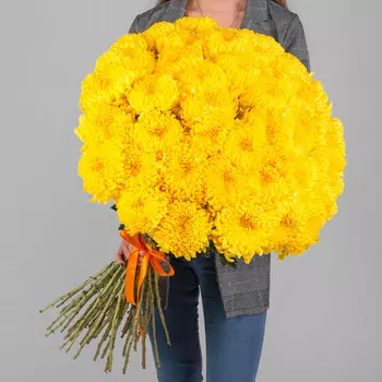 51 Желтая Хризантема Бигуди