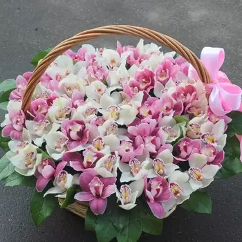 59 Белых и Розовых Орхидей в корзине
