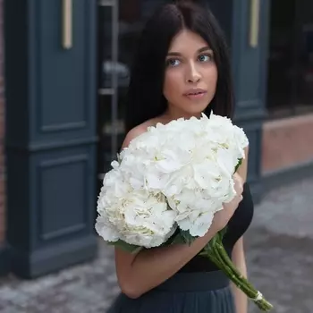 5 Белых Гортензий
