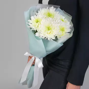 5 Белых Игольчатых Хризантем