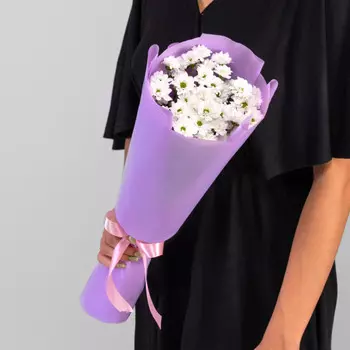 5 Белых Сантини Ромашка