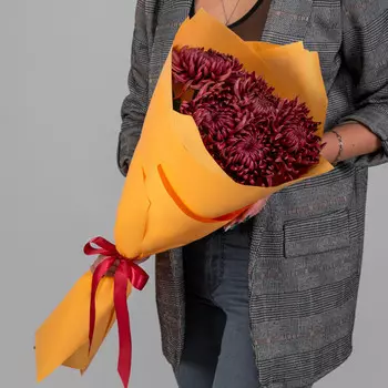 5 Бордовых Хризантем Бигуди