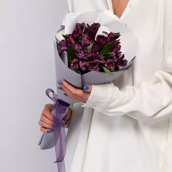 5 Фиолетовых Альстромерий