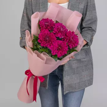 5 Фиолетовых Хризантем