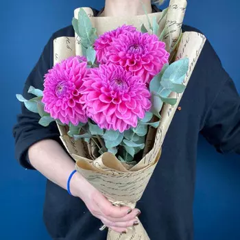 5 Георгинов Малиновых