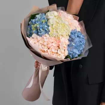 5 Гортензий Микс