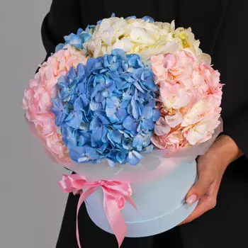 5 Гортензий Микс в коробке