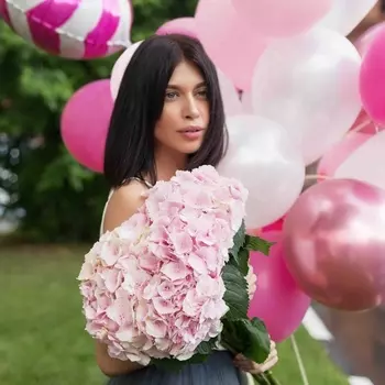 5 Гортензий Розовых