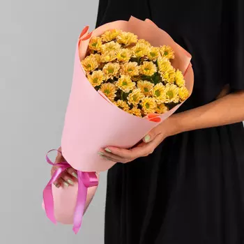 5 Коричневых Сантини Ромашка