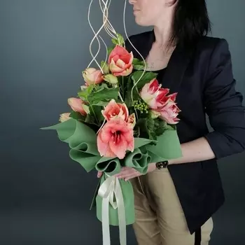 5 Красно-Белых Амариллисов